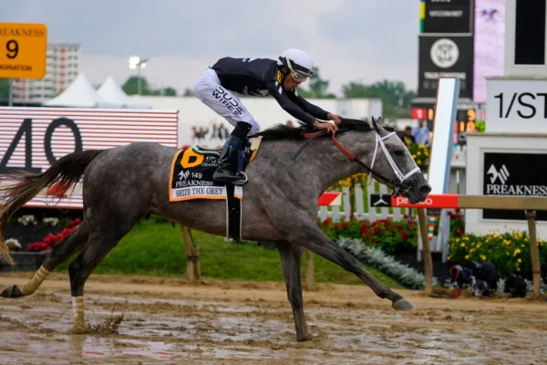 Seize The Grey memenangkan Preakness Stakes