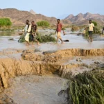 Sedikitnya 30 orang tewas setelah bendungan runtuh di Sudan, kata badan PBB