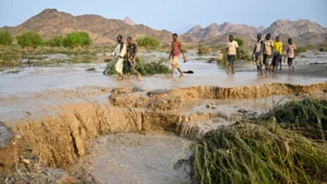 Sedikitnya 30 orang tewas setelah bendungan runtuh di Sudan, kata badan PBB 